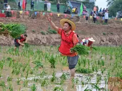 爱游戏体育官网-包含风云突变罗马转会期完成体检，CBA季后赛版图或变，赛场秩序良好，阵容厚度经受考验的词条